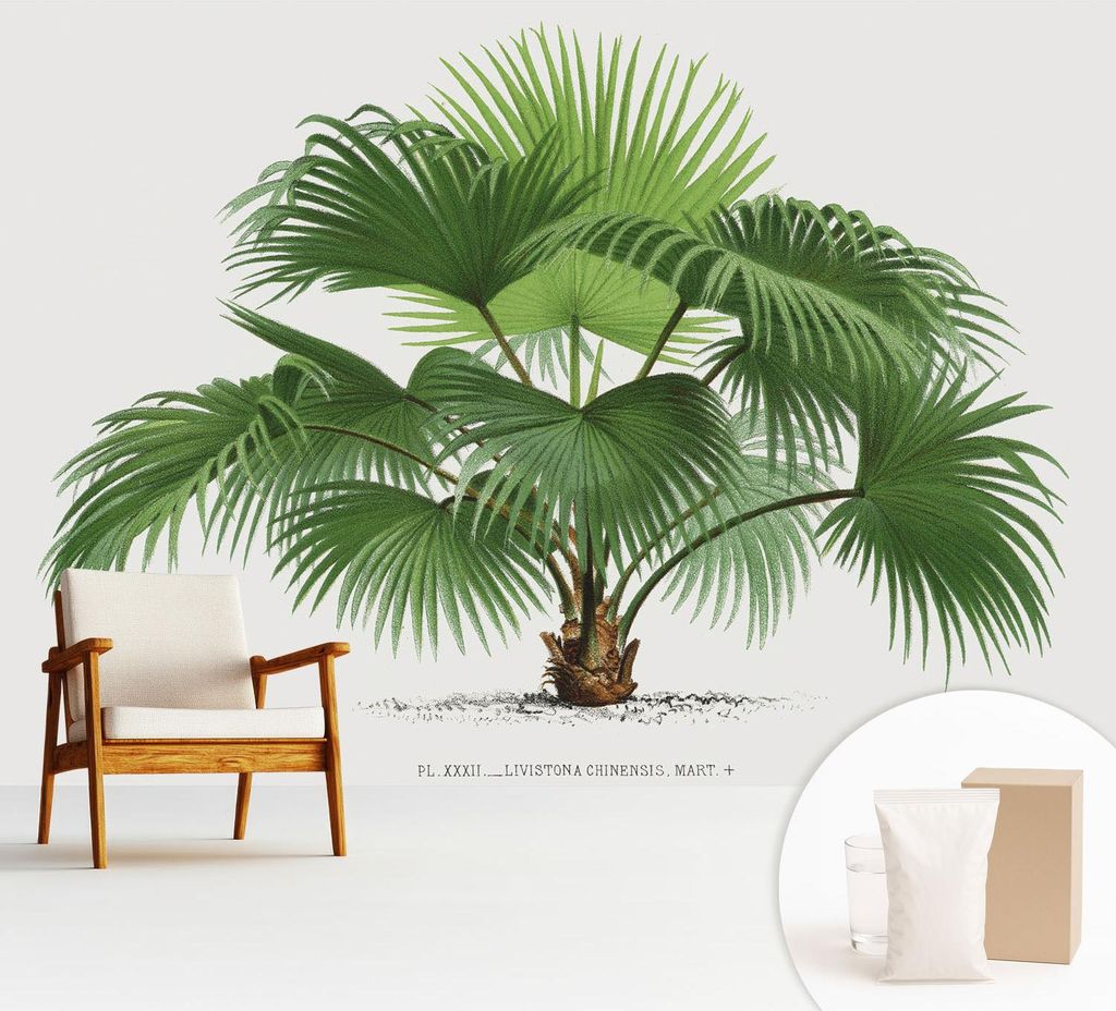 Fototapete - 312x219 cm - Tapete - Wandtapete - Wandbilder - Dekofolie - Tapete Folie - Wand - Dekoration - Wohnzimmer - Exotische Palme