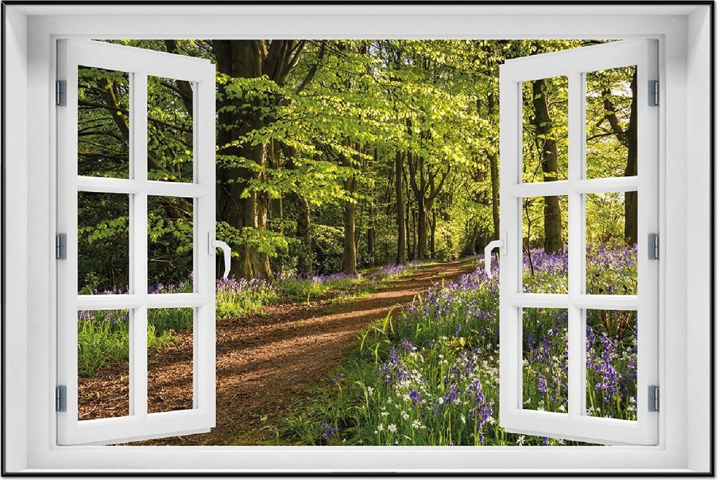 Wallario Wandbild mit Fenster-Illusion: Blaues Hasenglöckchen im Sommerwald, Größe: 61 x 91,5 cm, Poster mit schwarzem Aluminiumrahmen