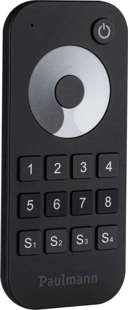 Paulmann 78472 Télécommande Murale Noire en Plastique 535mm x 122mm