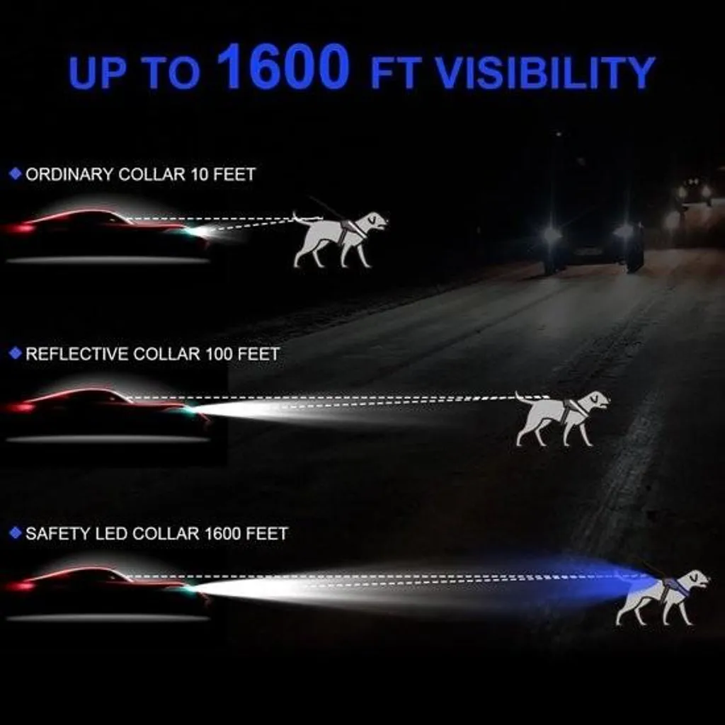 Harnais Allecto Plus Bleu XS avec Éclairage LED et Laisse de 15m