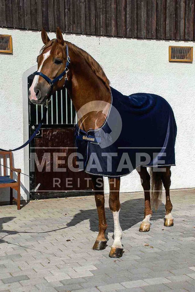 Bucas Abschwitzdecke Prize Cooler Navy/Gold 130