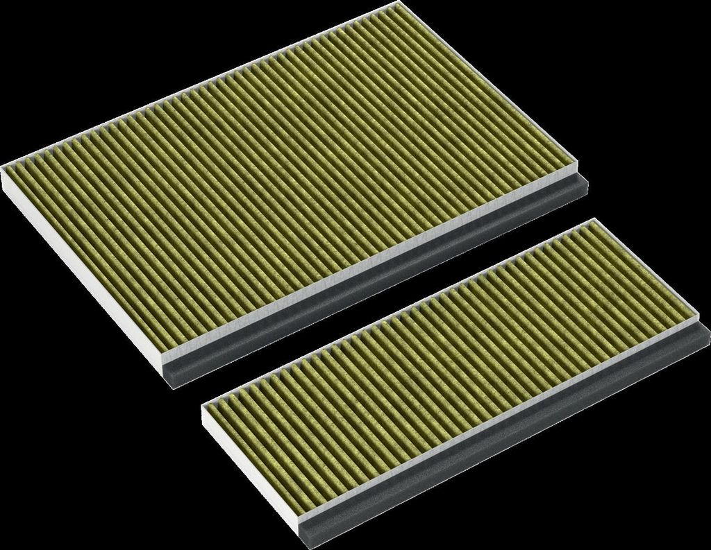 Neff CleanAir Plus Kohlefilter 17005406 / Z51AFB1X6 (Satz)