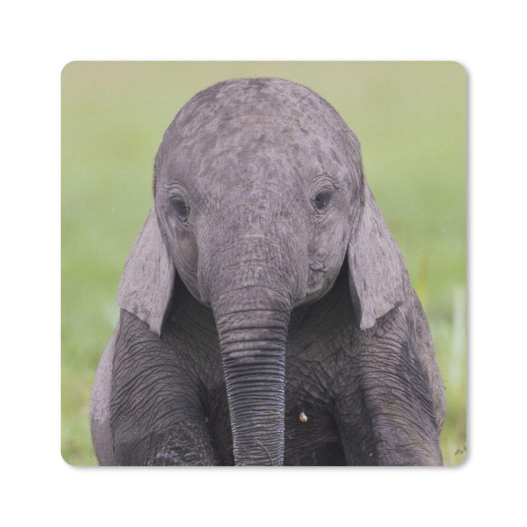 MuchoWow Mauspad Mousepad Elefant - Baby - Tiere - Gras - Natur 20x20 cm - Mousepads - Maus Mat - Pad - Mausunterlage - Desk Mat - Bureauartikeln