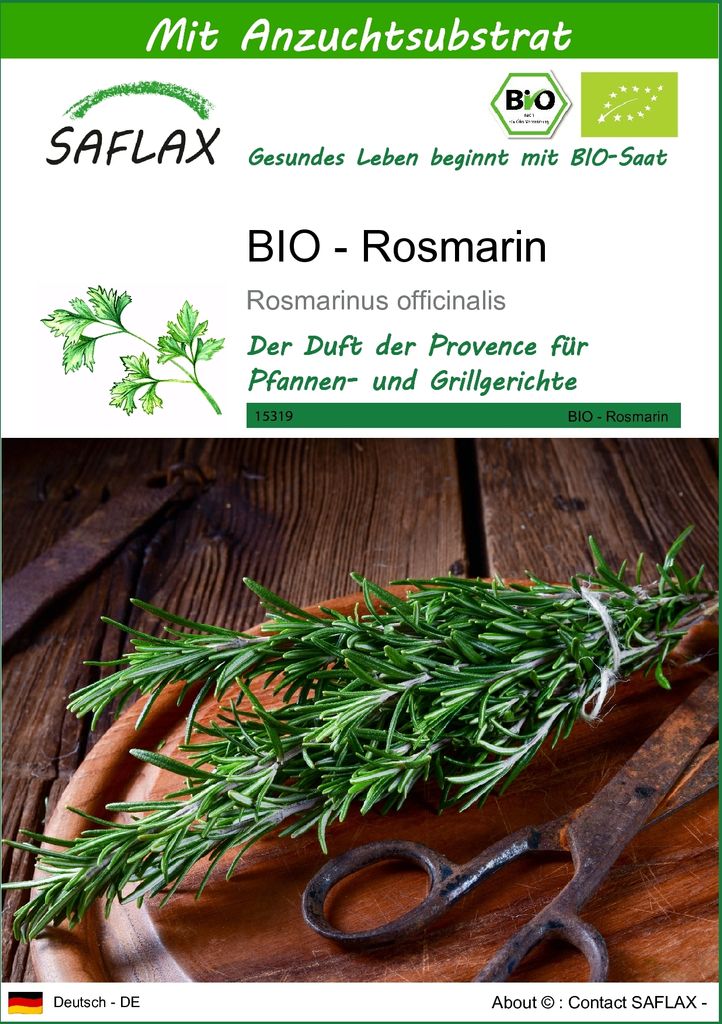 SAFLAX - BIO - Rosmarin - 40 Samen - Mit keimfreiem Anzuchtsubstrat - Rosmarinus officinalis
