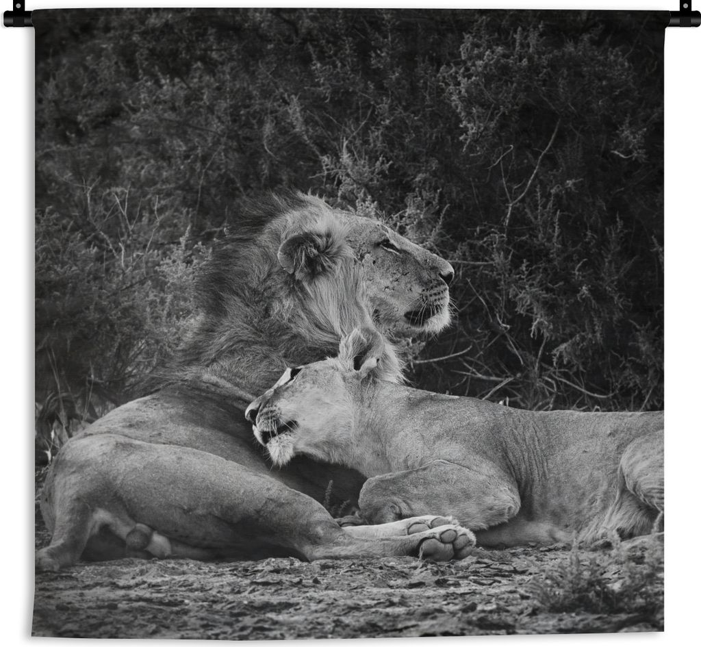 MuchoWow Wandteppich Wandbehang Löwen - Schwarz - Wilde Tiere 150x150 cm Tapisserie Dekoration Wandtuch - Wohnaccessoires - Modernes