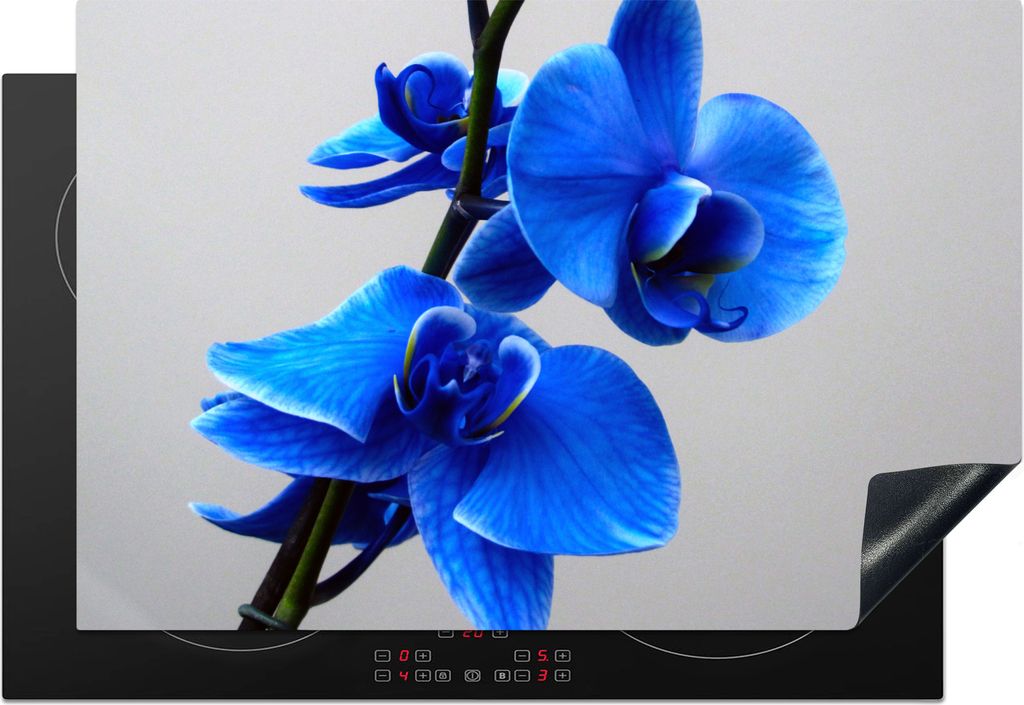 KitchenYeah Herdabdeckplatte Blaue Orchidee , 78x52cm, Küche Deko, Glaskeramikkochfeld Herdabdeckung, Abdeckplatte fùr Kochfeld