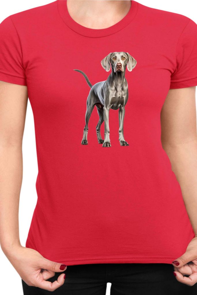 Damen T-Shirt Dogs Breeds Weimaraner Dog Breed 005, Lady S / Rot