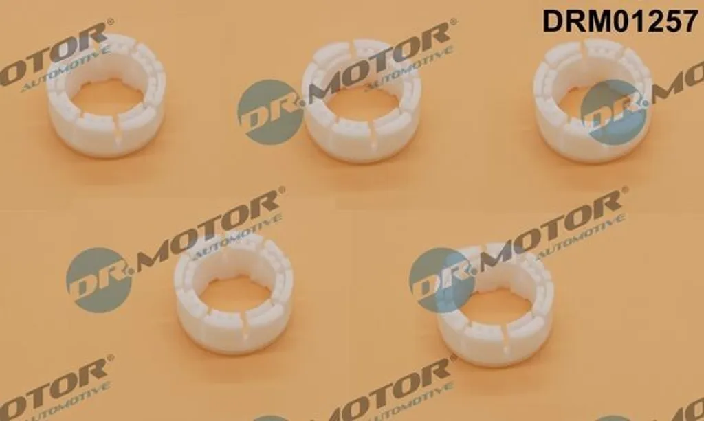 Douille de Tige de Culasse DR.MOTOR DRM01257 pour Moteur Diesel 2.0