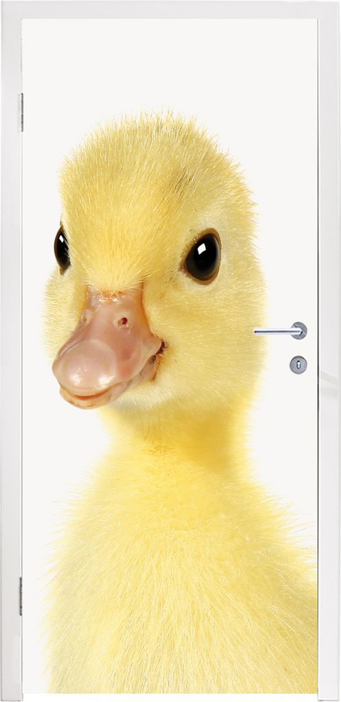 MuchoWow Türtapete Selbstklebende Türfolie Ente - Küken - Süß - Kinder - Mädchen - Jungen 80x205 cm Türposter Türaufkleber Klebefolie Tü...