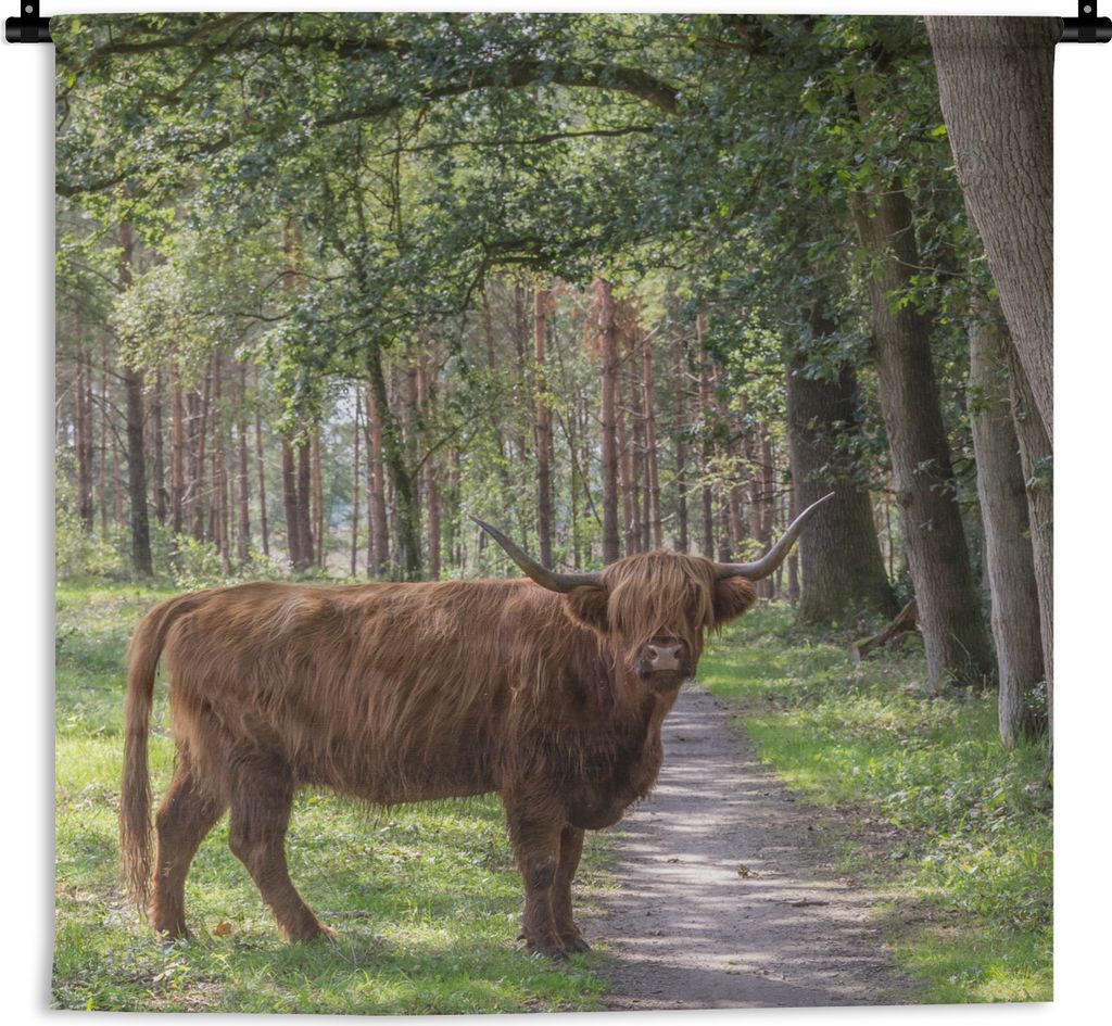 MuchoWow Wandteppich Wandbehang Wald - Schottischer Highlander - Licht 90x90 cm Tapisserie Dekoration Wandtuch - Wandaufhänger