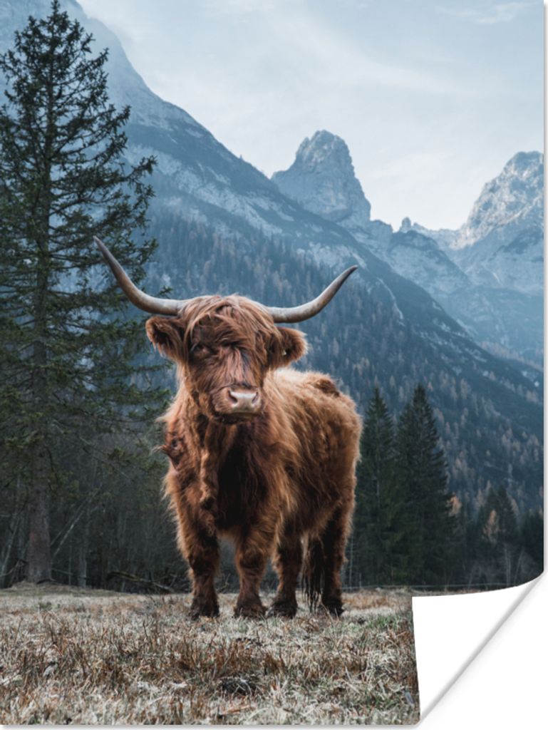 MuchoWow Poster Schottische Highlander - Berg - Landschaft - Bäume - Kuh - Natur 30x40 cm - Wandplakat - Poster Kinderzimmer