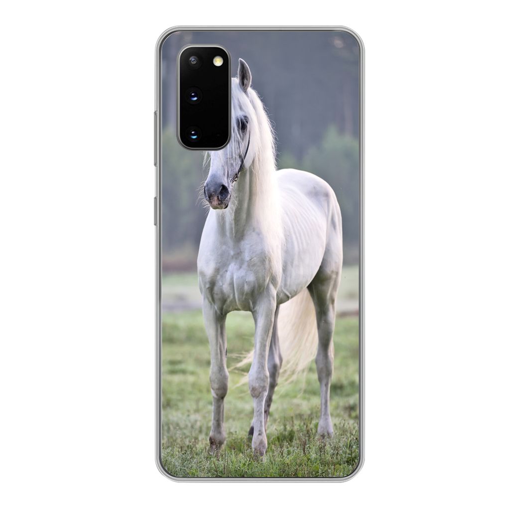 MuchoWow Handyhülle Schutzhülle Hülle für Samsung Galaxy S20 Pferd - Licht - Morgen Silikon Softcase Handy Hülle - Bild