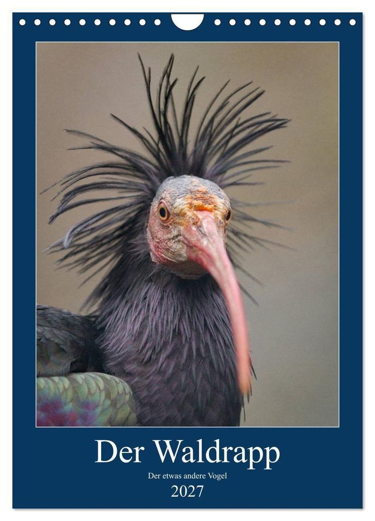 Der Waldrapp - Der etwas andere Vogel (Wandkalender 2027 Produktbild 