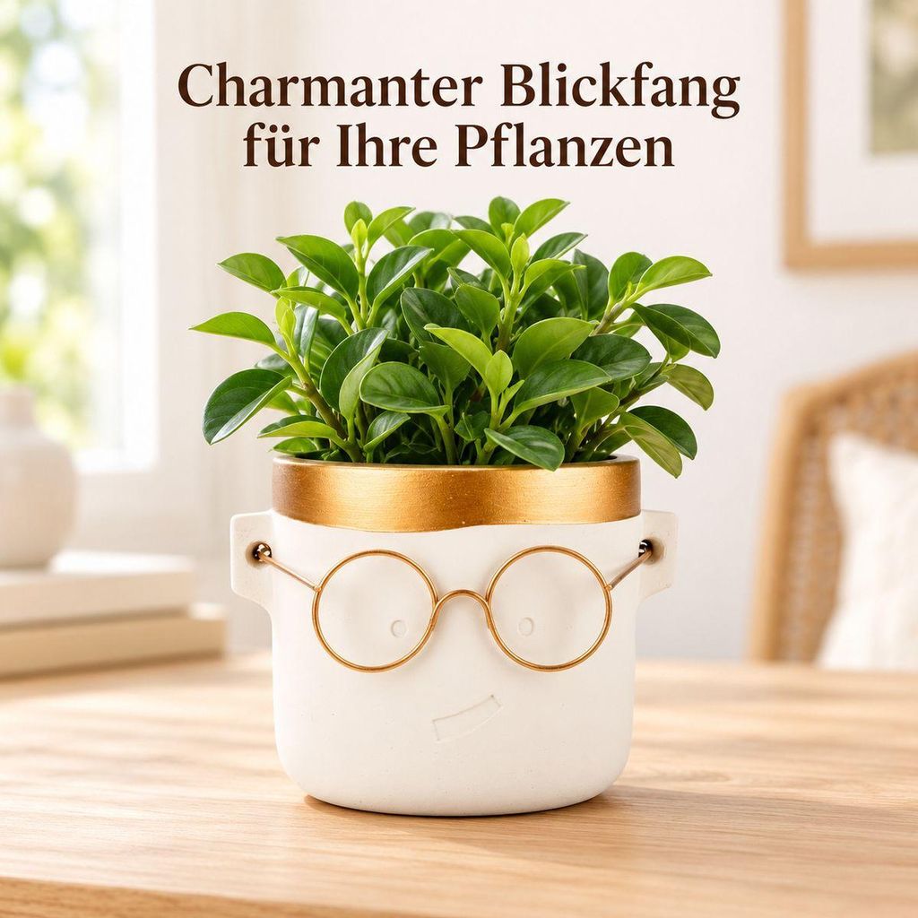 Blumentopf mit Gesicht und Brille 2 Farben 8 Größen