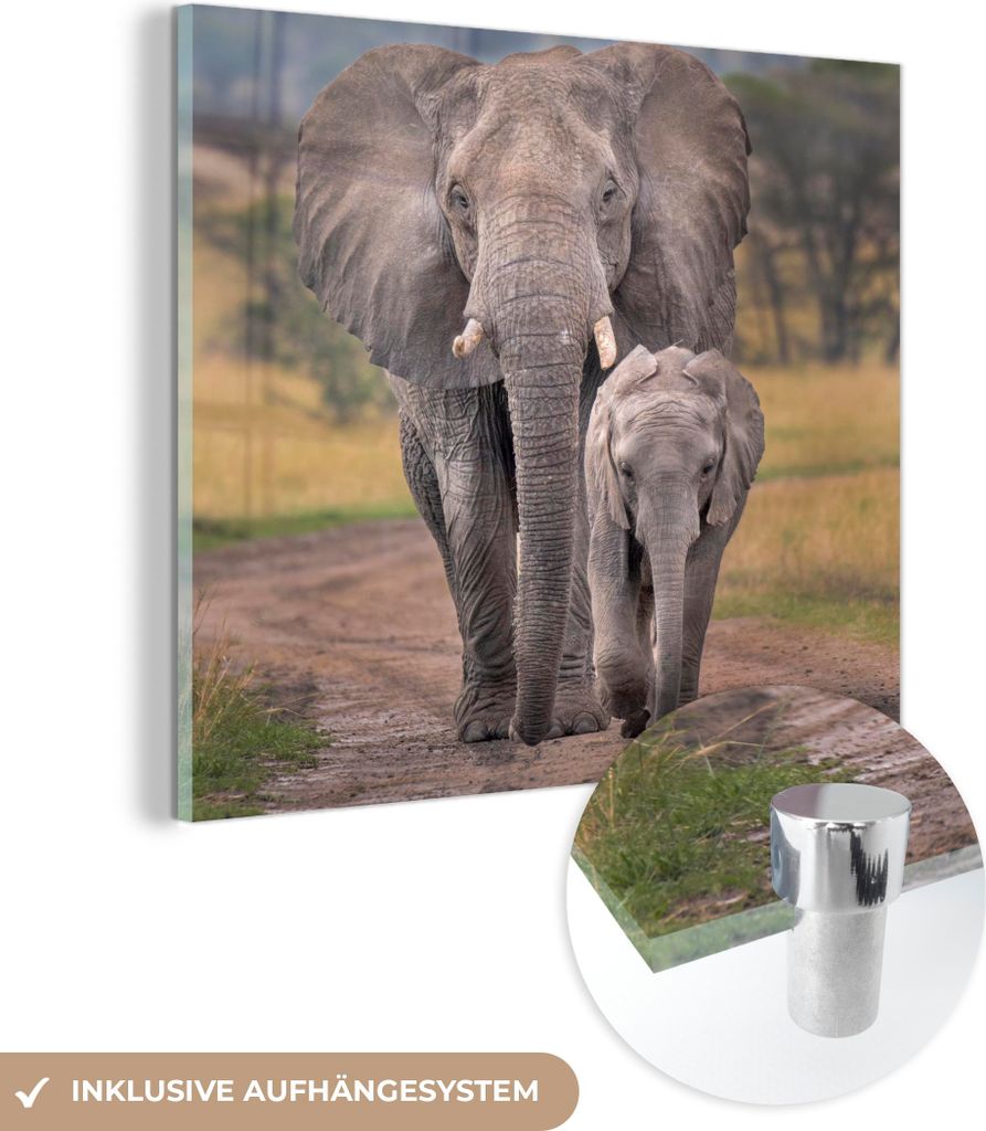 MuchoWow Glasbilder - Bilder auf Wandbild - Foto auf Glas Elefantenmutter und Kalb auf einer Straße im Ngorongoro-Krater 50x50 cm Wanddekoration a...