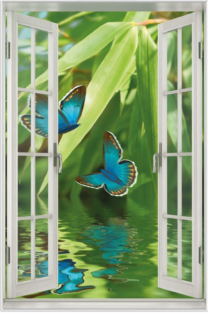 Wallario Wandbild mit Fenster-Illusion: Schmetterlinge in Produktbild 