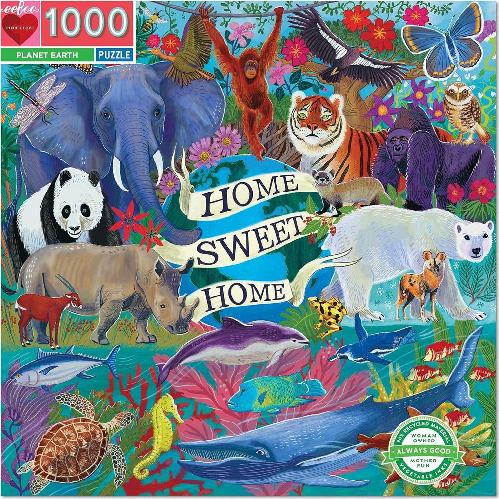 EEBOO Quadratisches Puzzle Planet Erde 1000 Teile