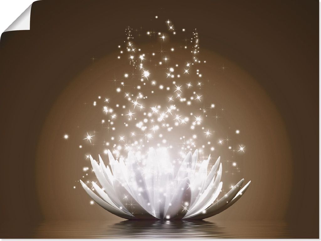 ARTland Poster Magie der Lotus-Blume Größe: 40x30 cm