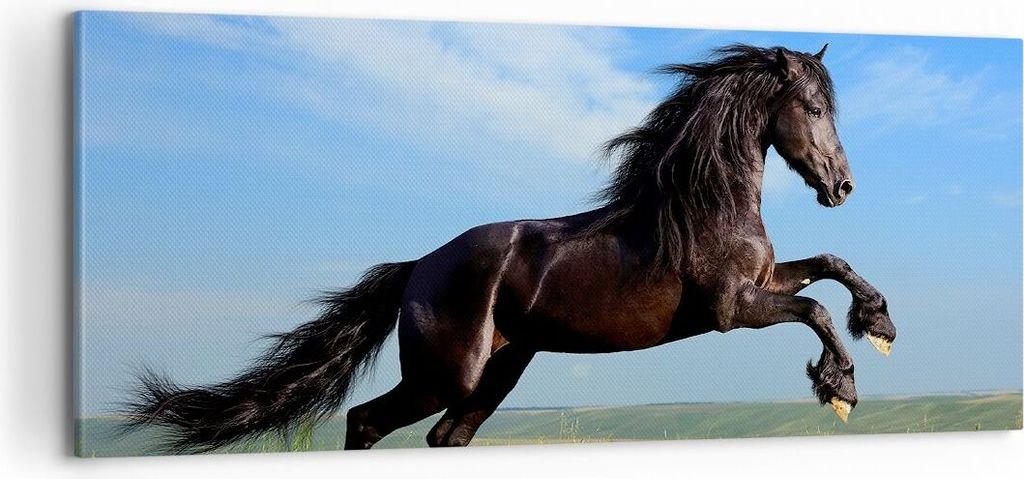 Bild auf Leinwand - Leinwandbild - Schwarzes Pferd Pferd Galopp - 100x40cm - Wand Bild - Wanddeko - Leinwanddruck - Bilder - Kunstdruck - Wanddekor...