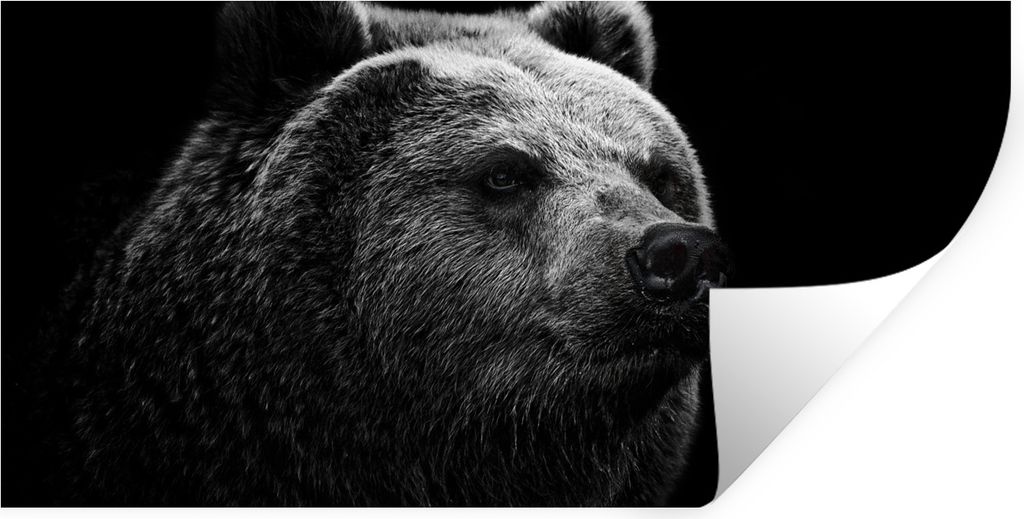 MuchoWow Wandtattoo Wandsticker Wandaufkleber Kamtschatka-Bär auf schwarzem Hintergrund in schwarz und weiß 80x40 cm Selbstklebend und Repositi...