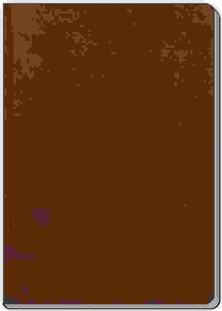 Rubrica Trötsch, copertina morbida, formato A5, colore Immagine del prodotto 