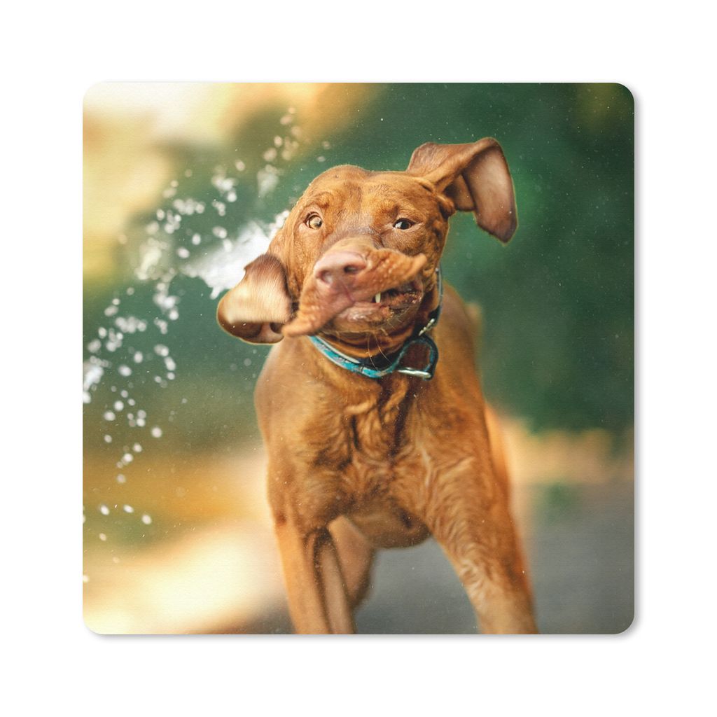 MuchoWow Mauspad Mousepad Nass - Hund - Wasser 30x30 cm - Mousepads - Maus Mat - Pad - Mausunterlage - Gaming