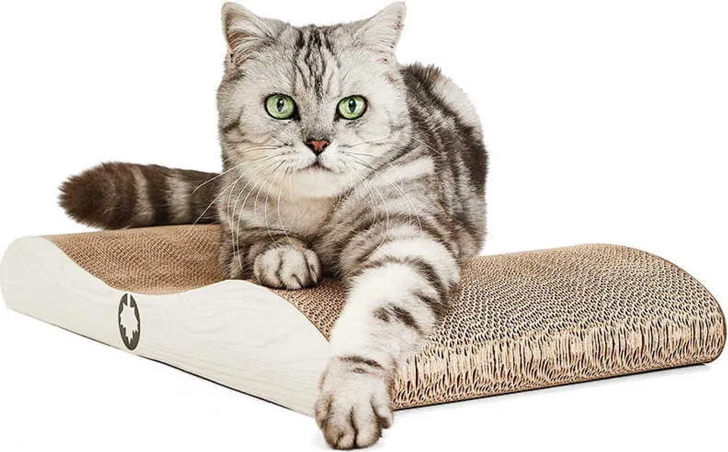 Comet L Tiragraffi CanadianCat: Recensione Sincera Grigio Chiaro