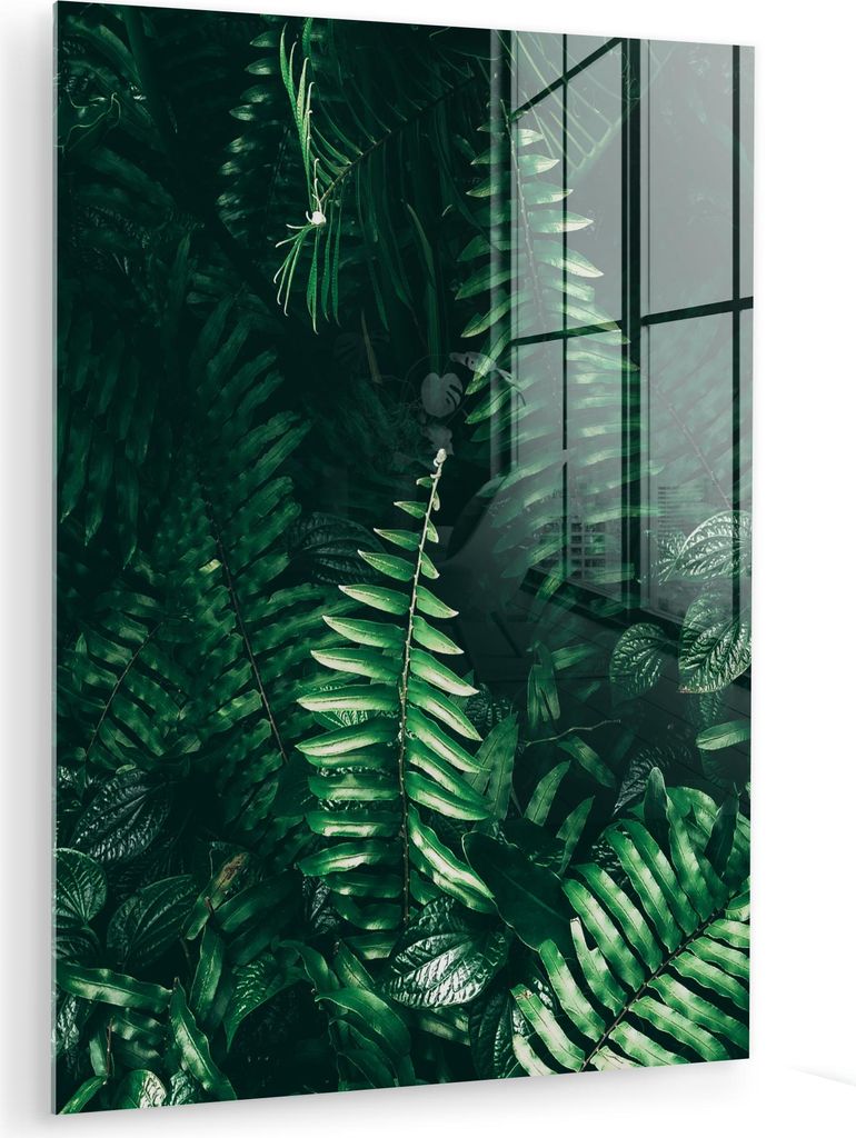 MuchoWow Glasbilder - Bilder auf Wandbild - Foto auf Glas Blätter - Dschungel - Natur - Tropisch - Pflanzen 60x80 cm Wanddekoration aus Glas - Acr...