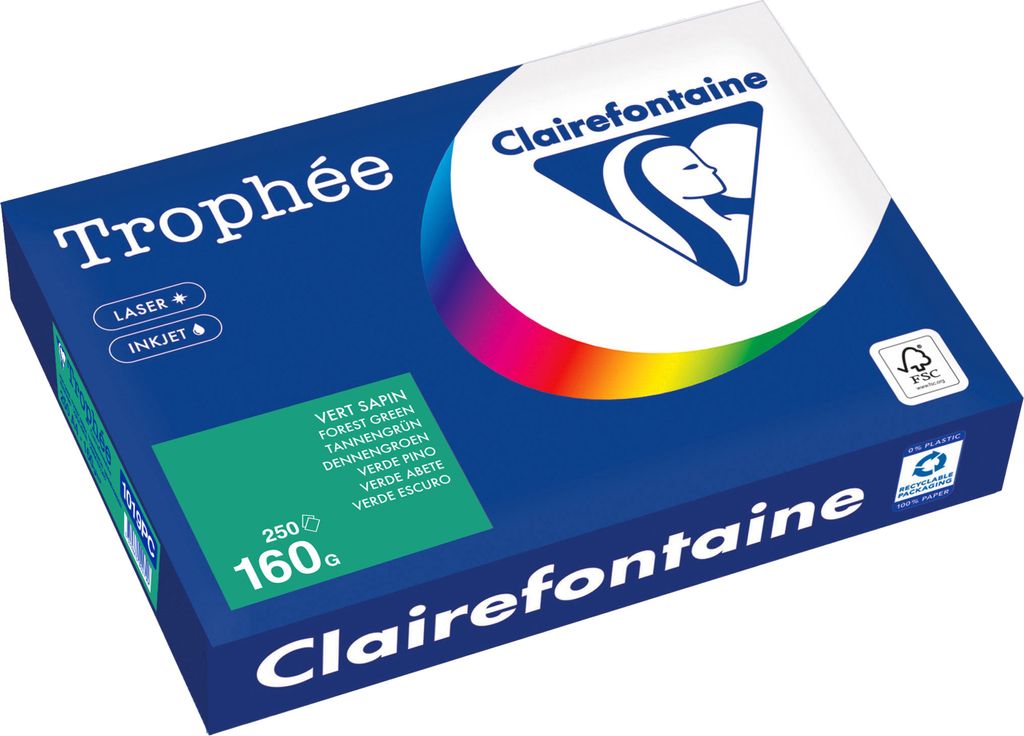 Clairefontaine Kopierpapier 1019PC A4 160g tannengrün 250Bl