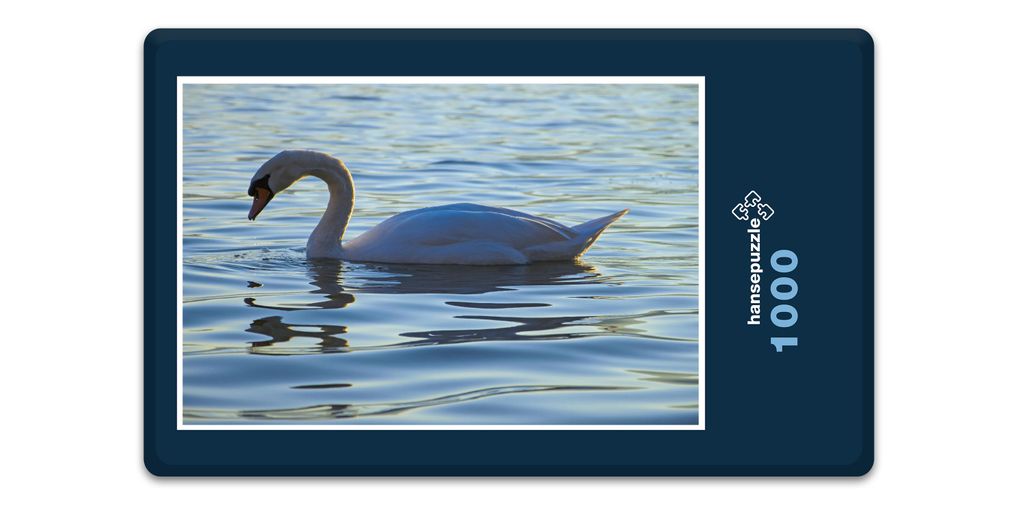 hansepuzzle 12252 - Schwan Puzzle, 1000 Teile, Tierwelt, 60,0 x 46,0cm mit hochwertiger Aufbewahrung, Kartonbox und wiederverschließbarem Beutel