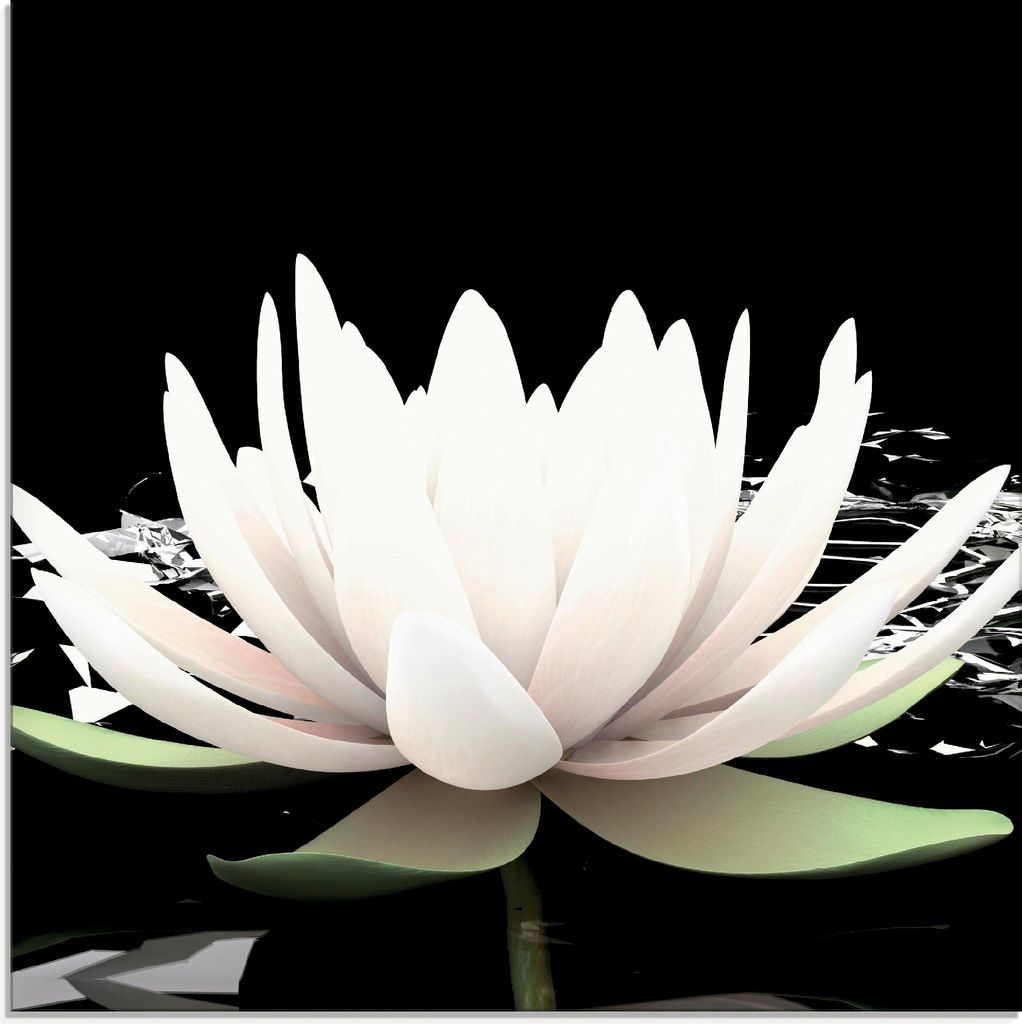 ARTland Glasbild Zwei Lotusblumen auf dem Wasser Größe: Produktbild 