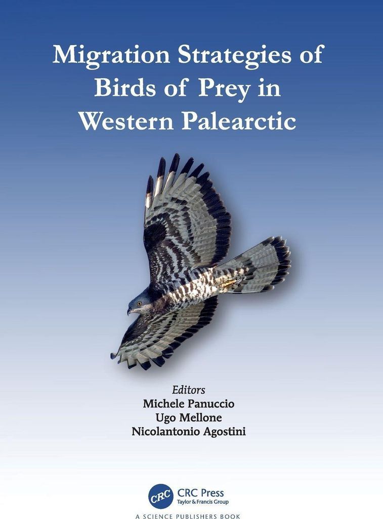 Migration Strategies of Birds of Prey in Western Palearctic
