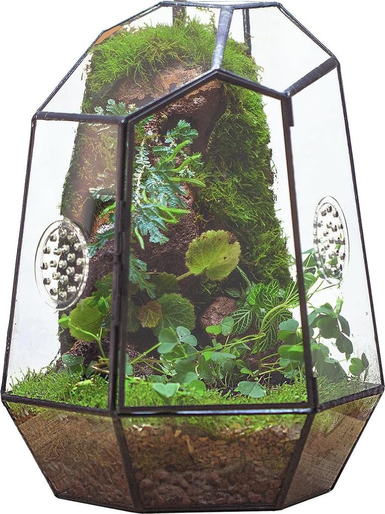 Geometrisches Glasterrarium mit Belüftung - Schwarzer Pflanzkasten für drinnen