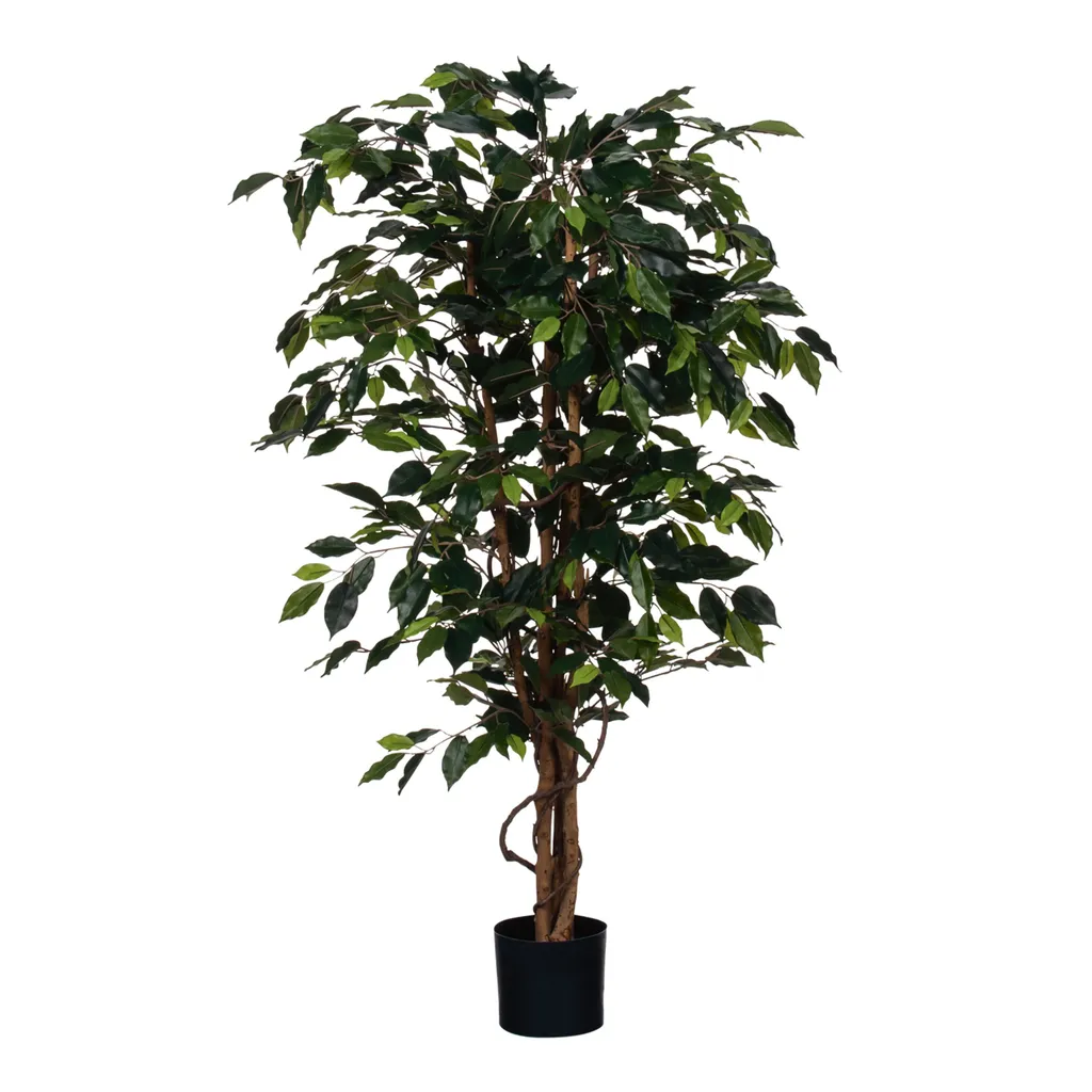 Ficus Benjamina 150cm : Décoration Végétale Sans Entretien pour Salon