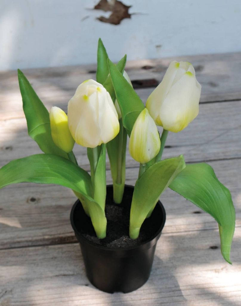 artplants.de Künstliche Tulpe Caitlyn im Dekotopf, weiß-grün, 25cm, Ø2-6cm - Kunststoffpflanze/Tulpe künstlich