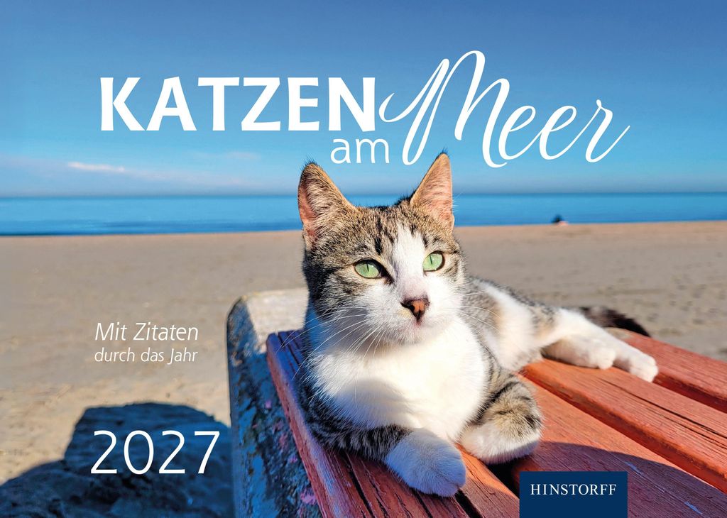 Wandkalender 2027 Katzen am Meer mit Motiven von Samtpfoten am Strand und auf Dünen