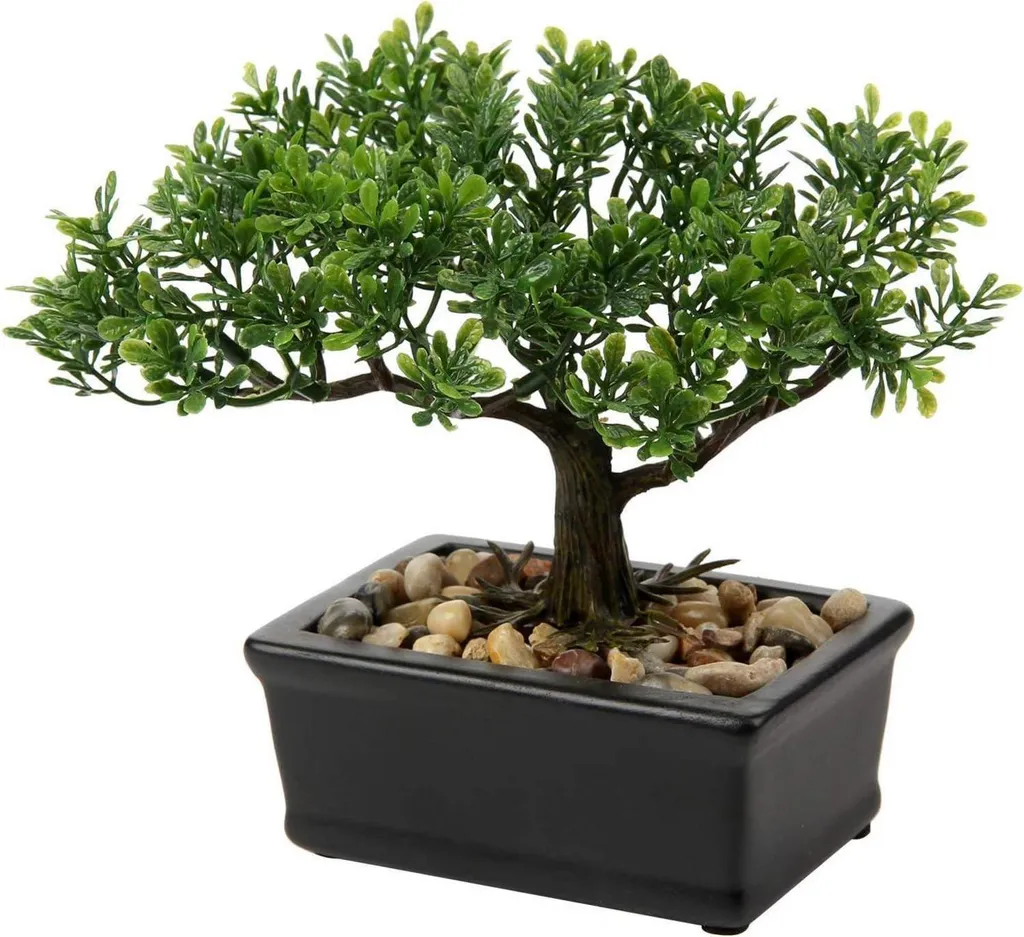 Bonsai artificiale Podocarpus 18 x 16 cm con fioriera in Vetroceramica nera