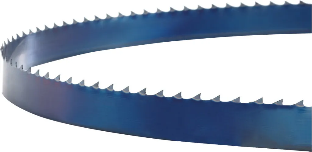 Ruban de scie à bois Holzkraft 5020mm x 30mm pour débit de précision