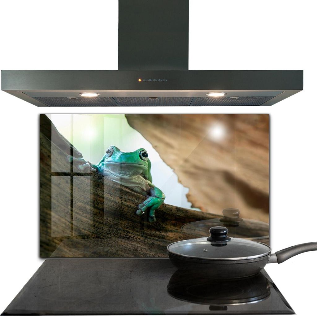 Spritzschutz aus Glas Küchenrückwand - Wandschutz für Herd und Spüle - 100x70 cm - Neugieriger Frosch auf einem Blatt