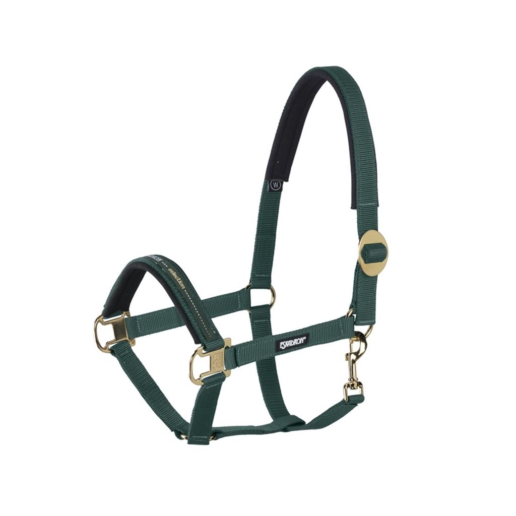 Eskadron Halfter Schiebeschnalle Basics Pferdehalfter Racinggreen P1