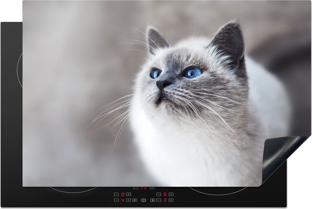 KitchenYeah Herdabdeckplatte Katzen - Haustiere - Augen - Blau , 81x52cm, Küche Deko, Glaskeramikkochfeld Herdabdeckung, Abdeckplatte fùr Kochfeld