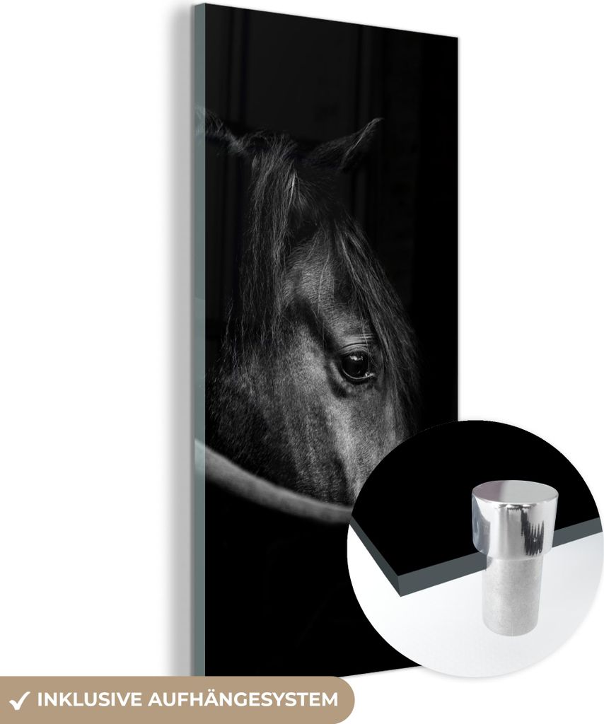MuchoWow Glasbilder - Bilder auf Wandbild - Foto auf Glas Pferde - Porträt - Schwarz - Tiere 40x80 cm Wanddekoration aus Glas - Acrylglasbild - Ac...