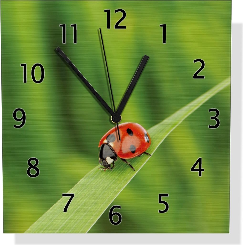 Wallario Design Wanduhr Marienkäfer auf grünem Blatt aus Aluverbund, Größe 30 x 30 cm
