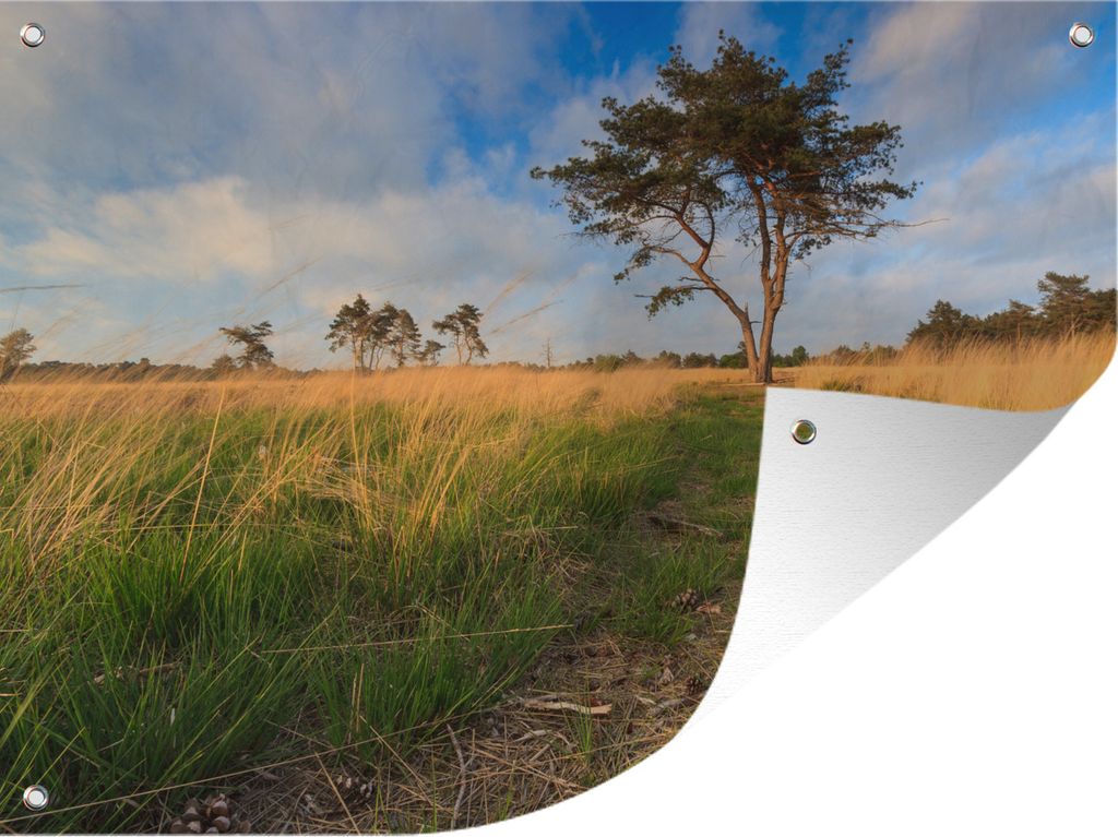 MuchoWow 80x60 cm Outdoor-Poster Gartendeko Sichtschutz Garten Poster für den Garten Der Nationalpark Loonse und Drunense Dünen