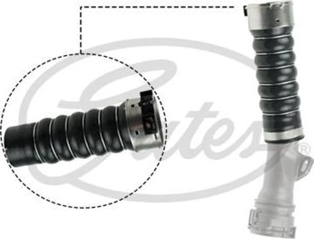 Réparer fuite turbo Clio Modus avec tuyau d'air GATES 144606173R