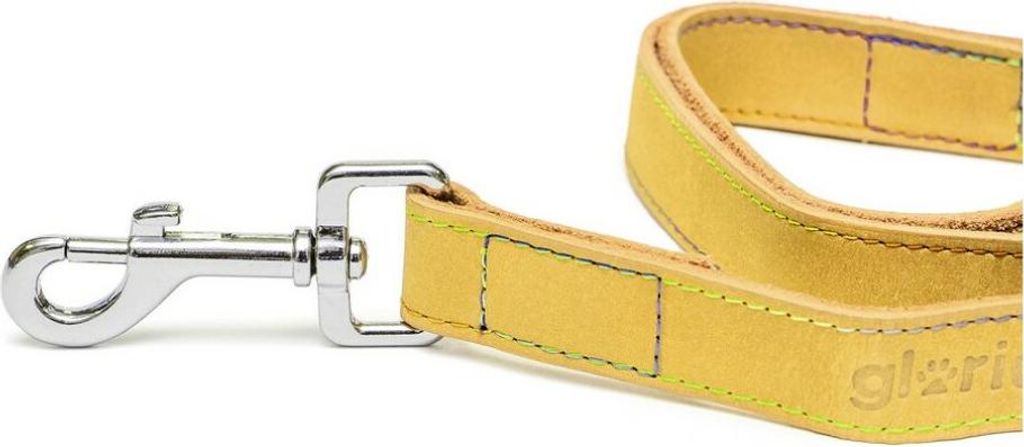 Hundeleine Gloria Oasis 2.1 x 100 cm Gelb