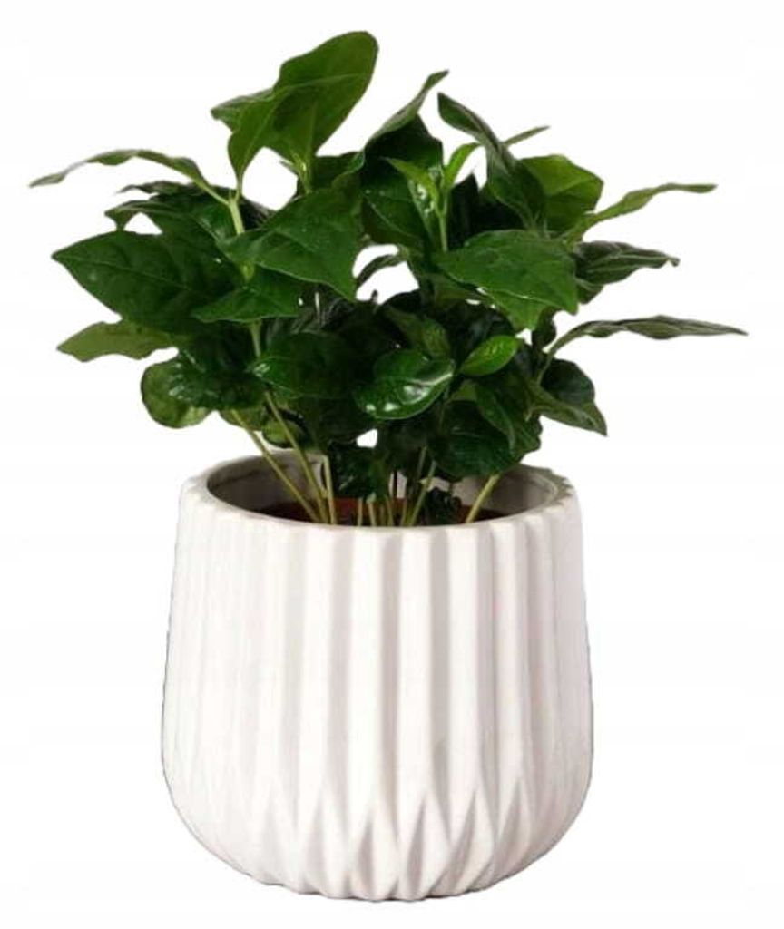 Ceramiczna doniczka falista 13 cm biała Zdjęcie produktu 