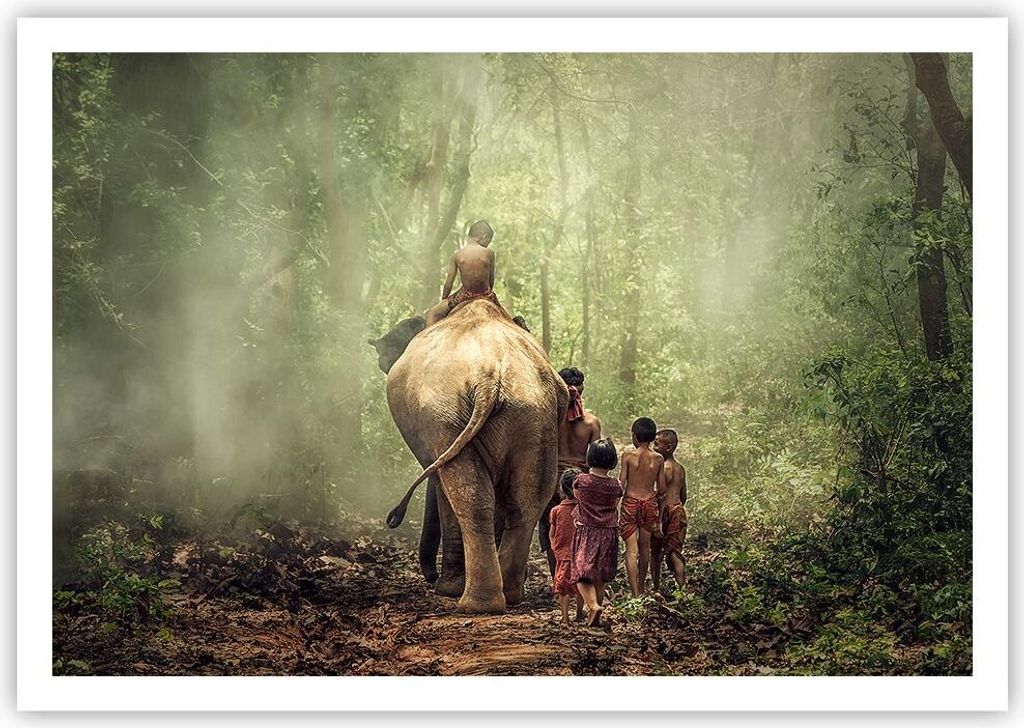 Poster - Poster ohne Rahmen - Elefant Dschungel Nebel - 100x70 cm - Wand Bild - Wanddeko - Wandbilder - Kunstposter - Wandposter - Bilder - Kunstdr...