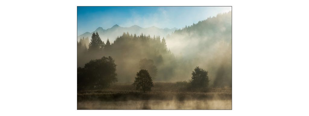 Muralo Fototapete Wald im Nebel 360 (B) x 240 (H) cm Vlies Tapete Wandtapeten Gebirge Bäume Wohnzimmer Schlafzimmer moderne Wandbilder XXL Landsch...