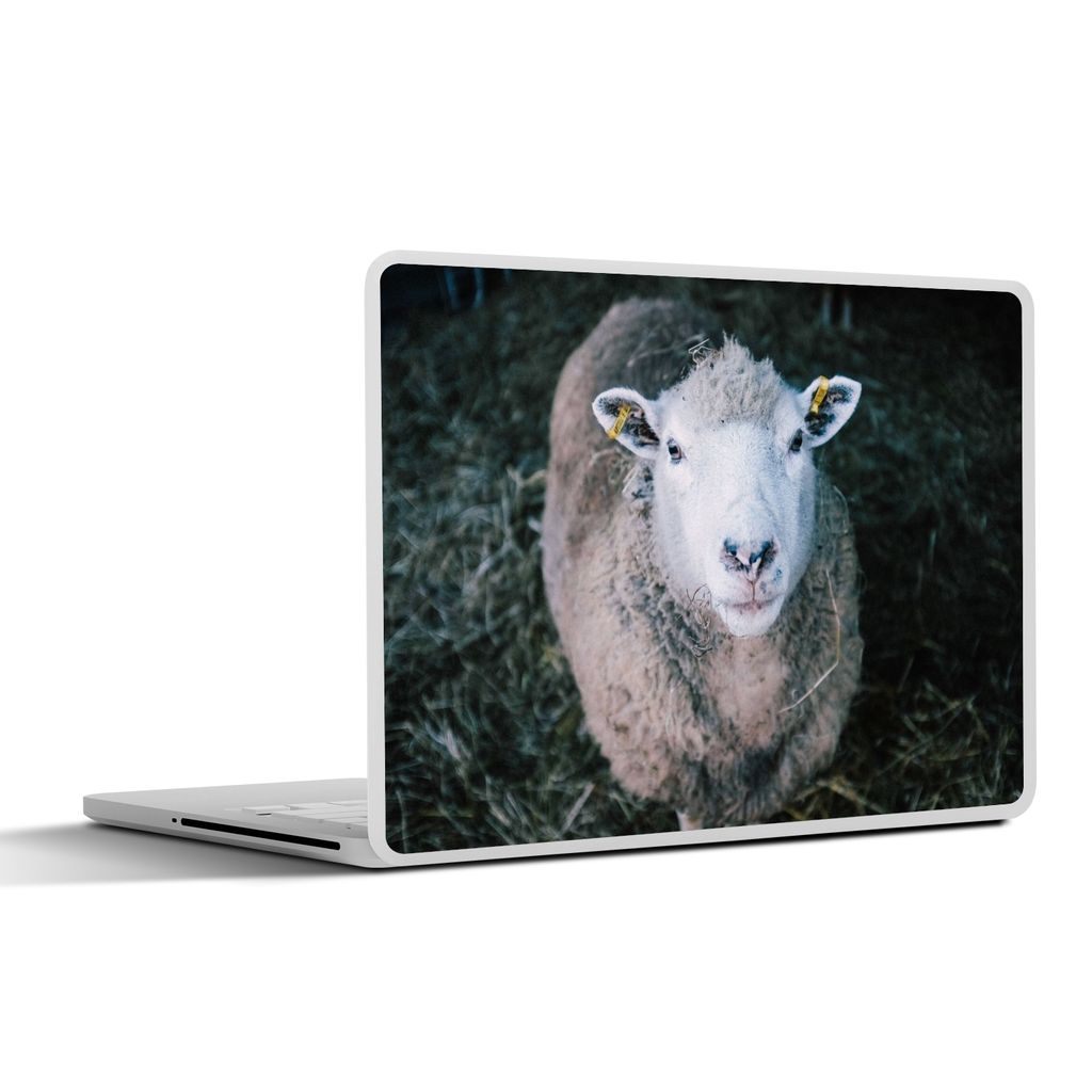 MuchoWow Laptop Aufkleber Sticker Cover Schafe - Tiere - Rinder 31x22.5 cm - Laptop-Deko